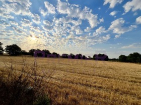 ������� ���������� ���� | Imot.bg � ����� ������ 11