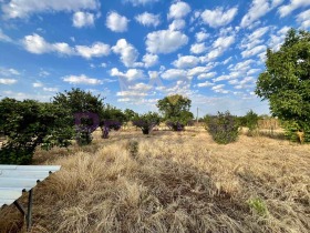 ������� ���������� ���� | Imot.bg � ����� ������ 12