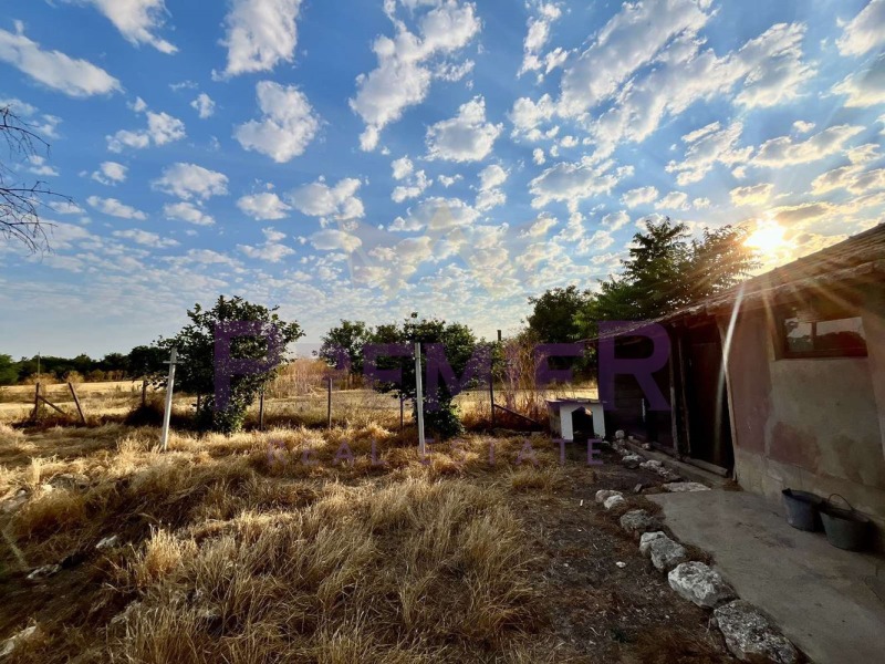 Продава ЗЕМЕДЕЛСКА ЗЕМЯ, с. Змеево, област Добрич, снимка 15 - Земеделска земя - 53082521