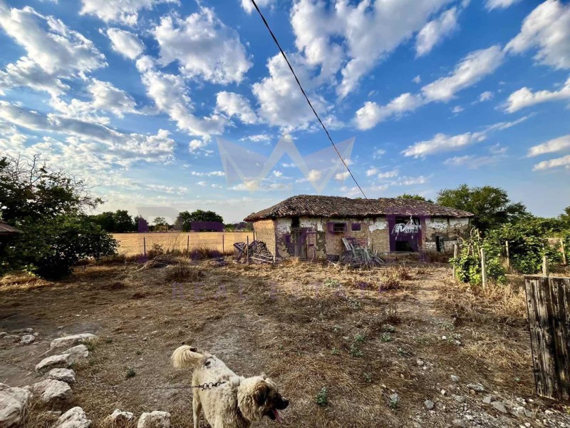 Продава ЗЕМЕДЕЛСКА ЗЕМЯ, с. Змеево, област Добрич, снимка 17 - Земеделска земя - 53082521