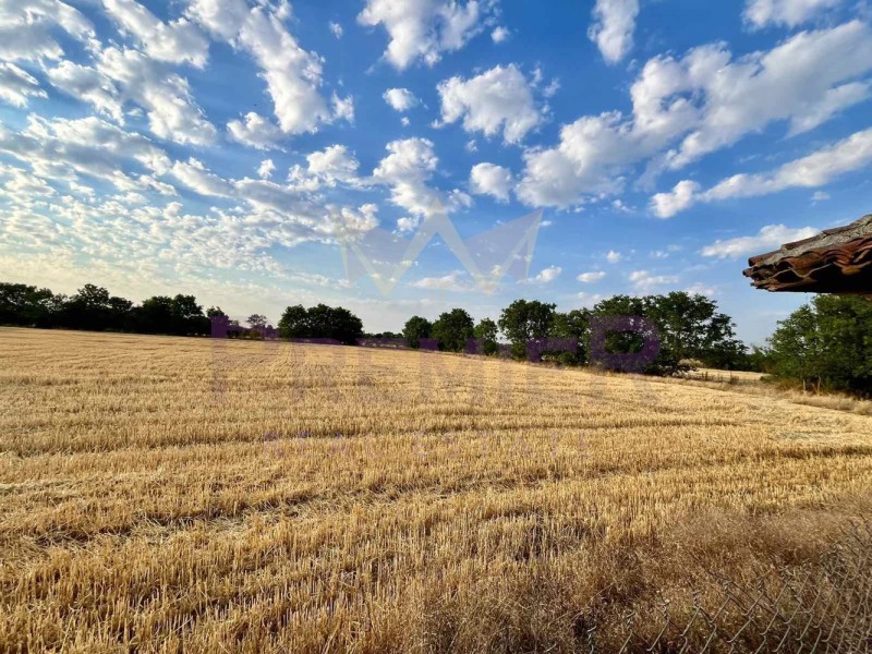 Продава ЗЕМЕДЕЛСКА ЗЕМЯ, с. Змеево, област Добрич, снимка 10 - Земеделска земя - 53082521