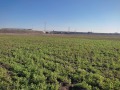 Продава ПАРЦЕЛ, гр. София, Обеля, снимка 2