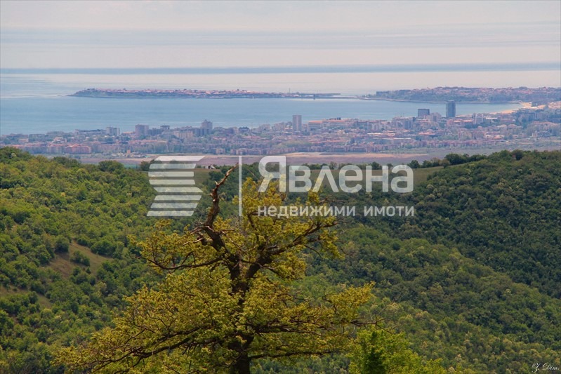 ������� ������ | Imot.bg � ����������� 1