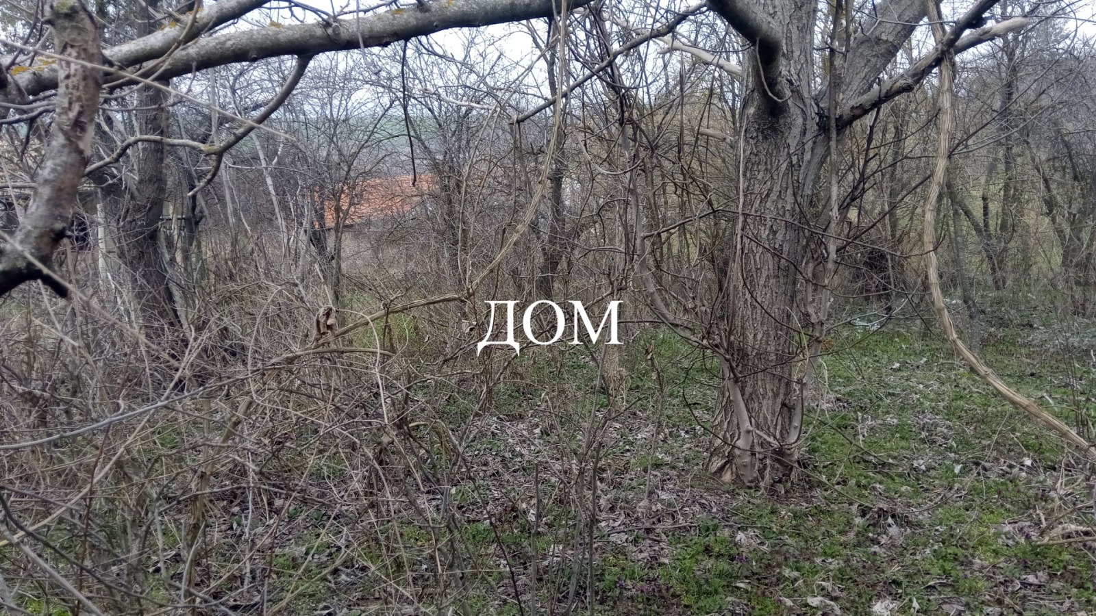 ������� ������ | Imot.bg � ����������� 5