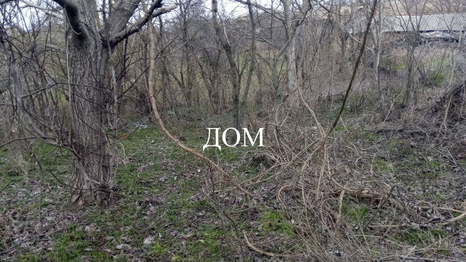 ������� ������ | Imot.bg � ����������� 4