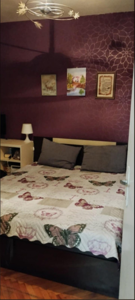 1 dormitor Tolstoi, Sofia