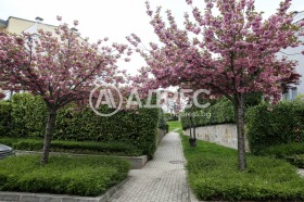 ������� ���������� | Imot.bg � ����� ������ 17