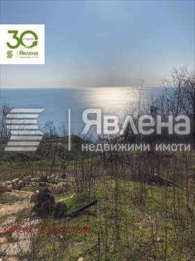 ����� ������� ������,���� �����, �-� ������