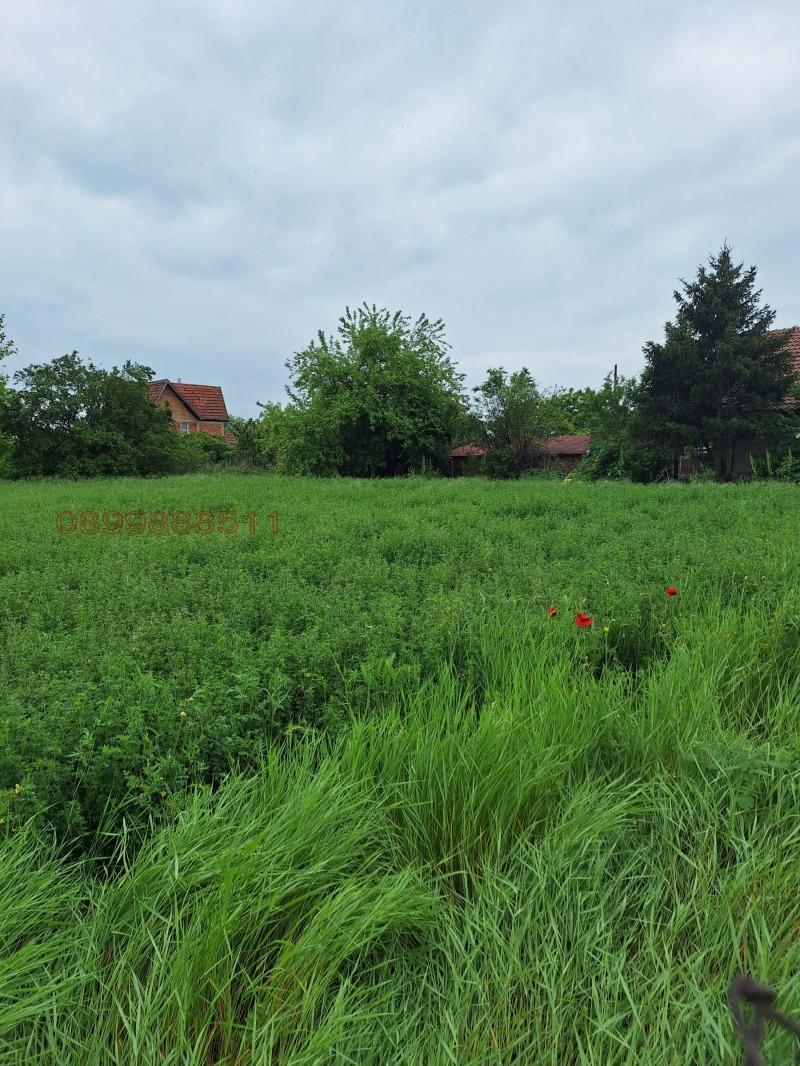 Продава ПАРЦЕЛ, с. Новоселци, област Видин, снимка 2 - Парцели - 53051337