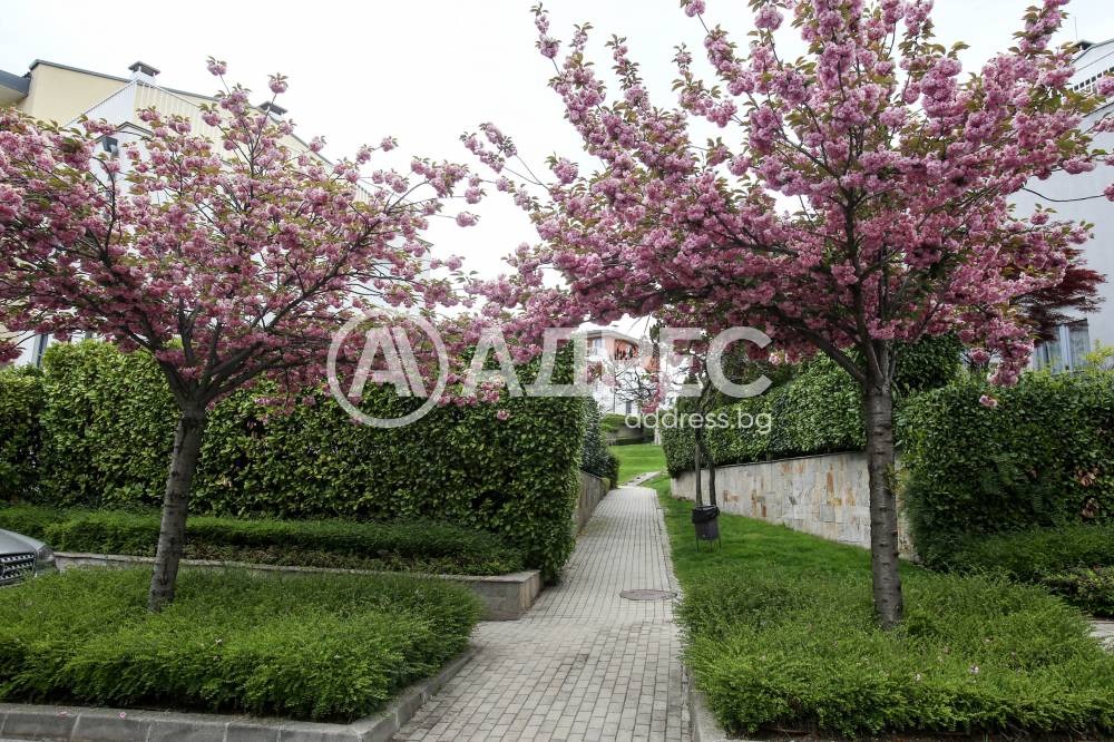 Продава МНОГОСТАЕН, гр. София, Симеоново, снимка 17 - Апартаменти - 56224583