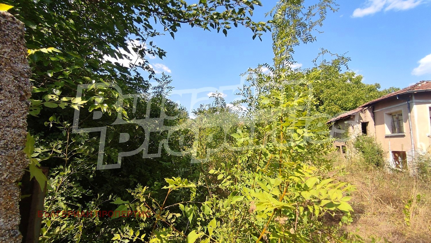 Продава КЪЩА, с. Трънково, област Стара Загора, снимка 4 - Къщи - 55614102