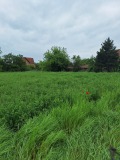 Продава ПАРЦЕЛ, с. Новоселци, област Видин, снимка 2