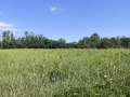 Продава КЪЩА, област Търговище, с. Буховци • 40000 € • 96337655 — Holmes.bg
