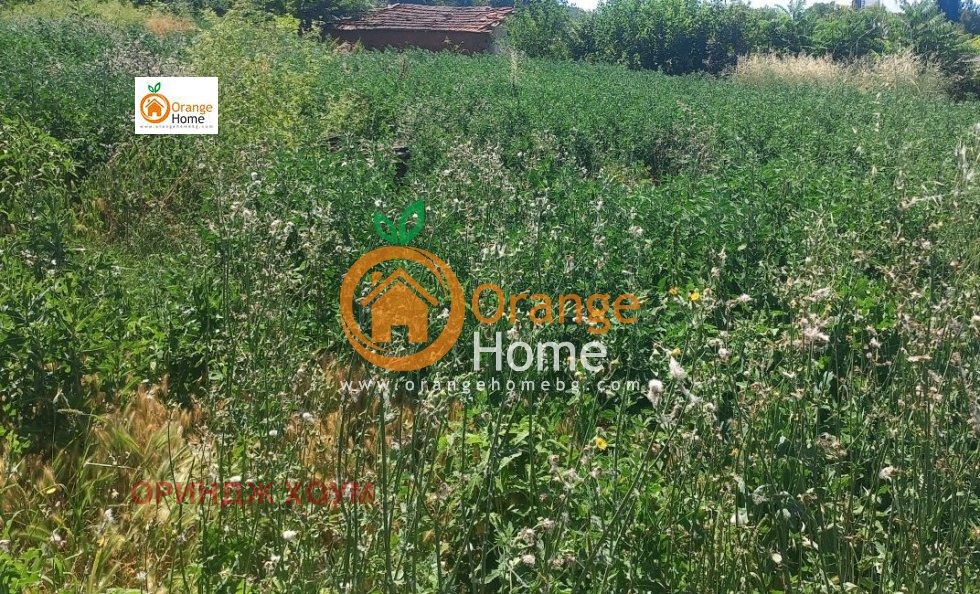 Продава КЪЩА, с. Оброчище, област Добрич, снимка 3 - Къщи - 55134175