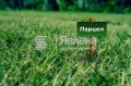 Продава  Парцел град Варна , м-т Прибой , 1999 кв.м | 51384480
