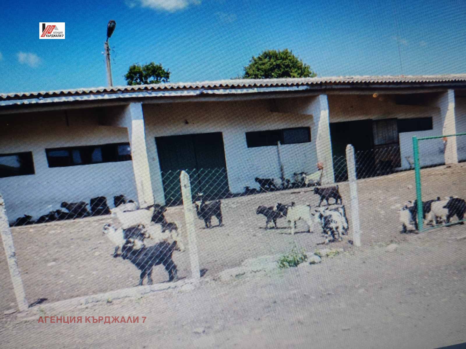 Продава ПРОМ. ПОМЕЩЕНИЕ, с. Соколяне, област Кърджали, снимка 6 - Производствени сгради - 55553363