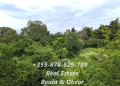 Продава ПАРЦЕЛ, област Варна, гр. Бяла • 62340 € • 37937459 — Holmes.bg