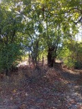 Продава ПАРЦЕЛ, област Велико Търново, с. Момин сбор • 68000 € • 19764434 3