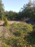 Продава ПАРЦЕЛ, област Велико Търново, с. Момин сбор • 68000 € • 19764434 7