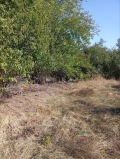 Продава ПАРЦЕЛ, област Велико Търново, с. Момин сбор • 68000 € • 19764434 4