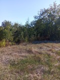 Продава ПАРЦЕЛ, област Велико Търново, с. Момин сбор • 68000 € • 19764434 6