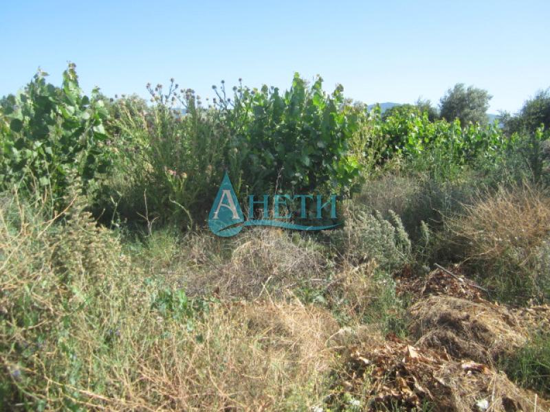 Продава ПАРЦЕЛ | Imot.bg — изображение 2