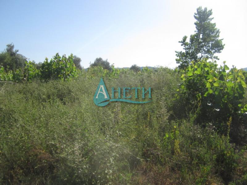 Продава ПАРЦЕЛ | Imot.bg — изображение 4