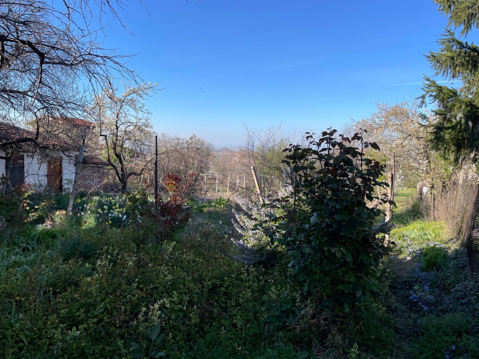 Продава КЪЩА | Imot.bg — изображение 5