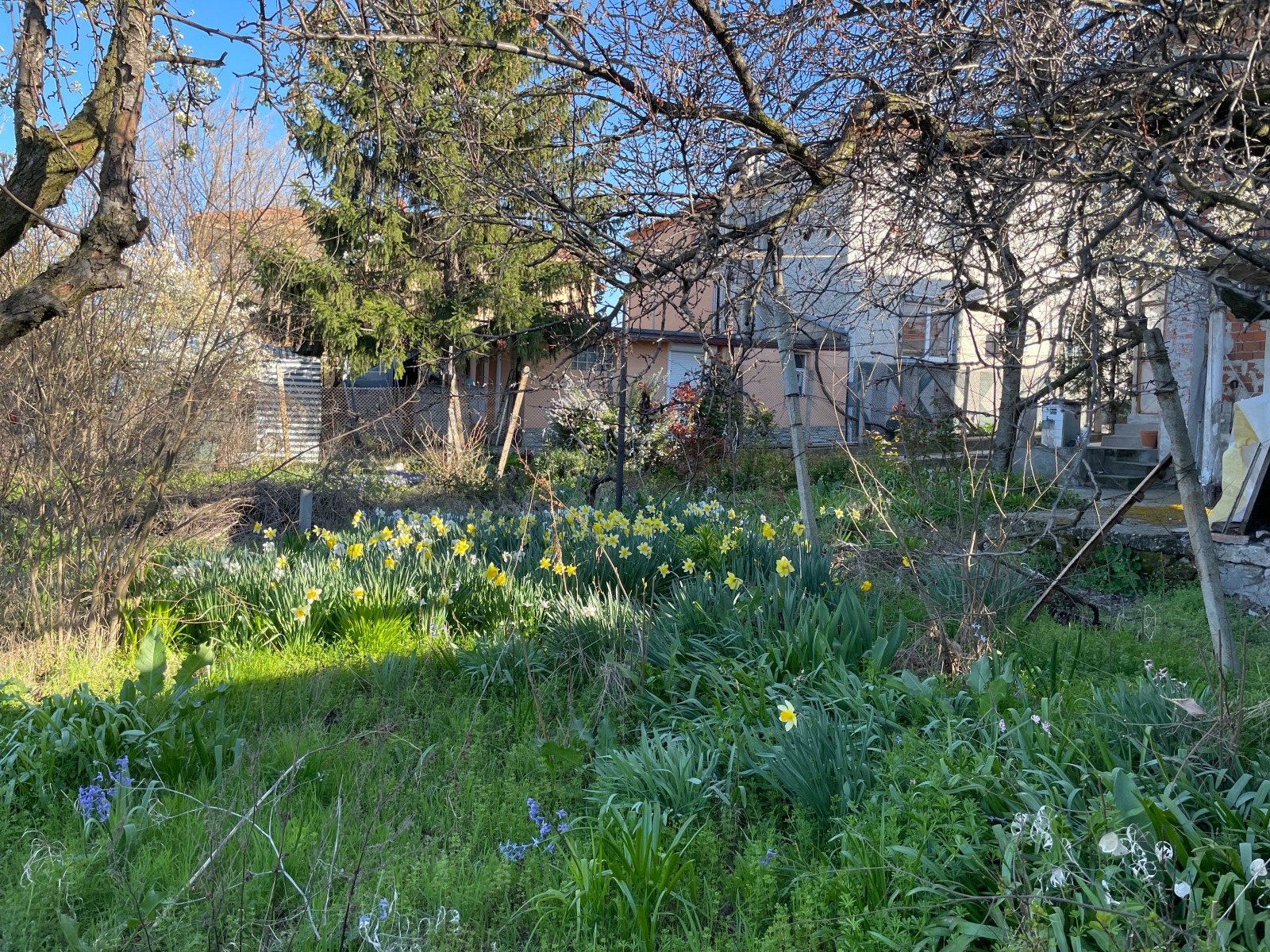 Продава КЪЩА | Imot.bg — изображение 4