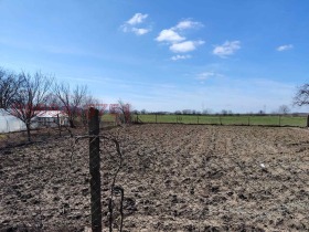 ������� ���� | Imot.bg � ����� ������ 7