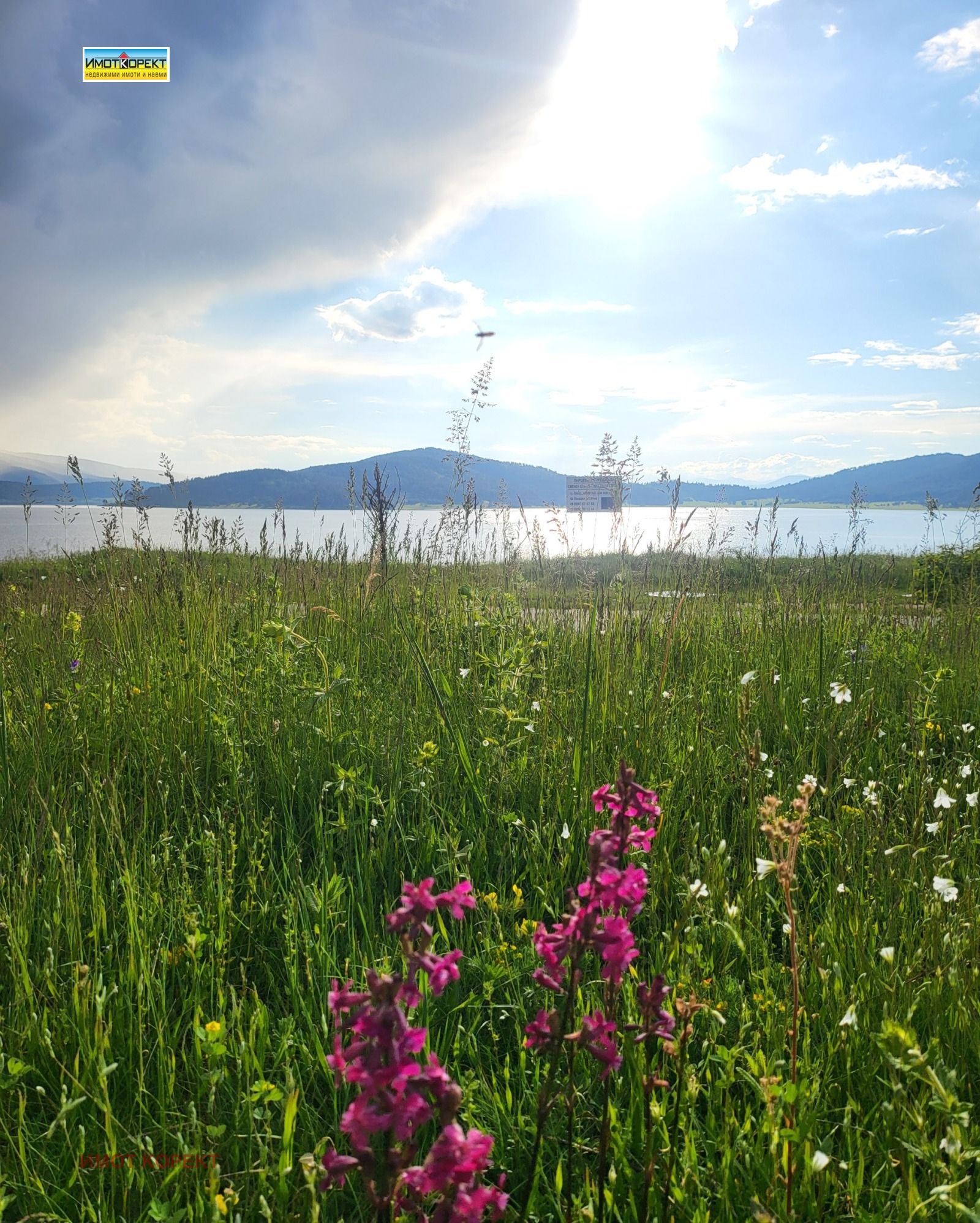 ������� ������ | Imot.bg � ����������� 1