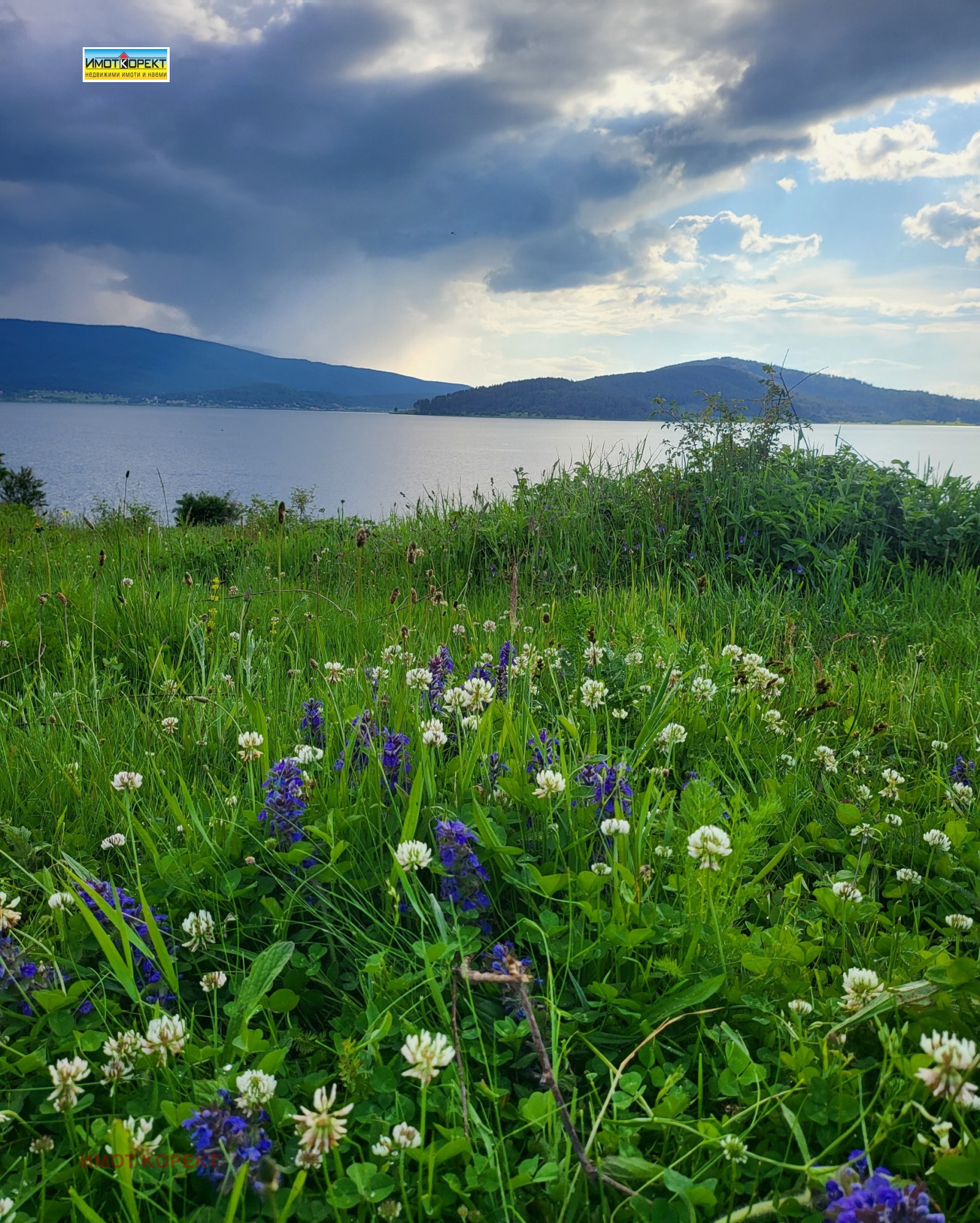 ������� ������ | Imot.bg � ����������� 8