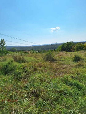 Plot Pchelin, region Sofia 4