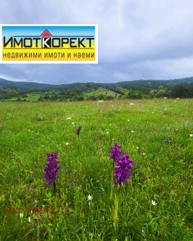 ������� ������ | Imot.bg � ����� ������ 3
