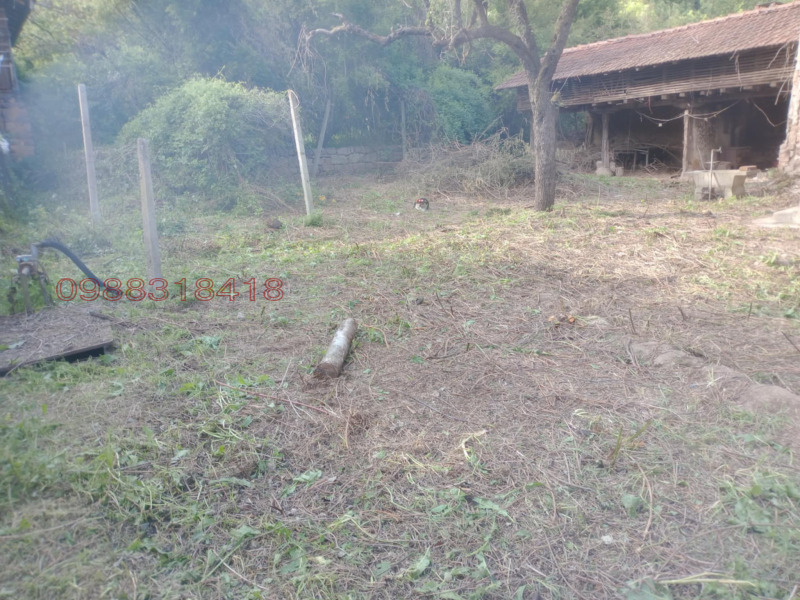 Продава КЪЩА, с. Железна, област Монтана, снимка 4 - Къщи - 52769926