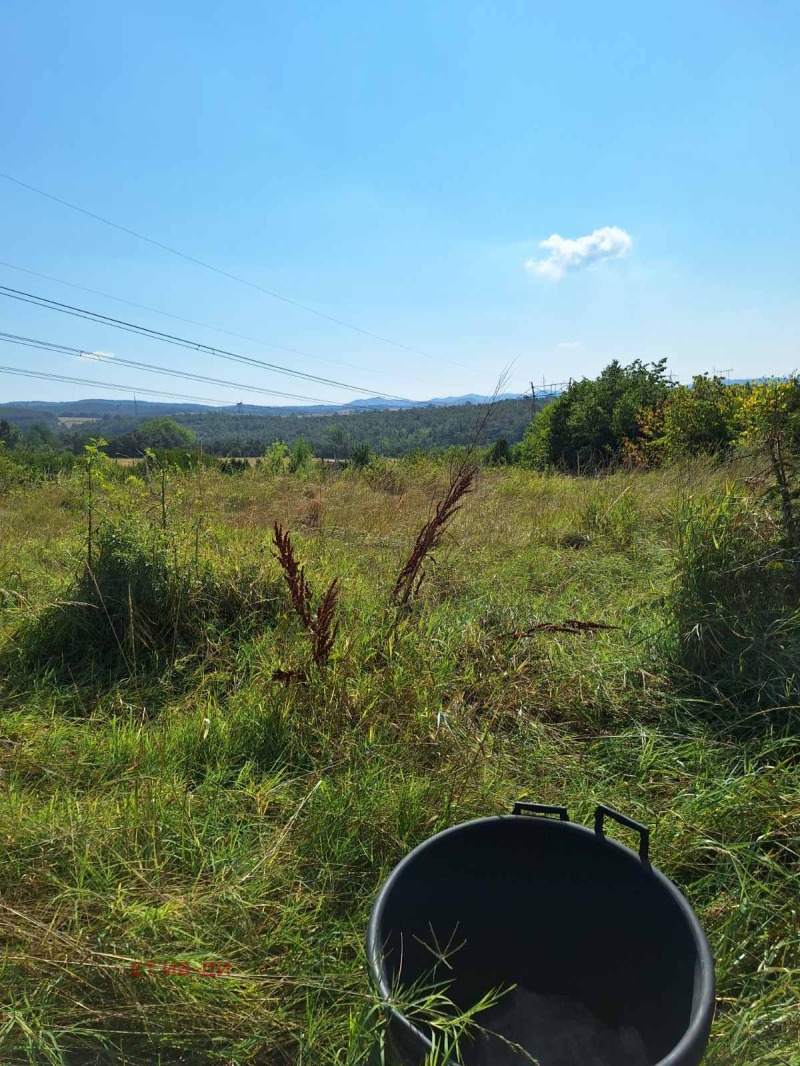 For Sale  Plot region Sofia , Pchelin , 1394 sq.m | 49203244 - image [5]