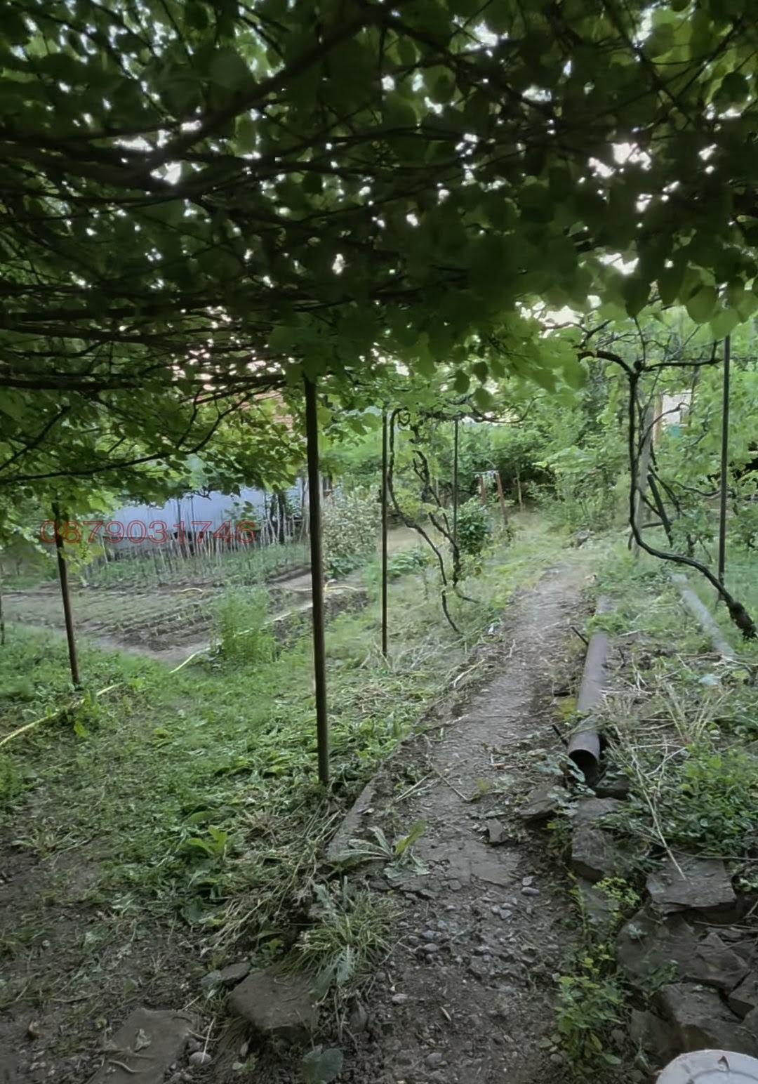 Продава КЪЩА, с. Лютиброд, област Враца, снимка 2 - Къщи - 56111379