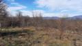 Продава ПАРЦЕЛ, гр. Елена, област Велико Търново, снимка 9