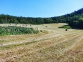 Продава ПАРЦЕЛ, гр. Ябланица, област Ловеч, снимка 5