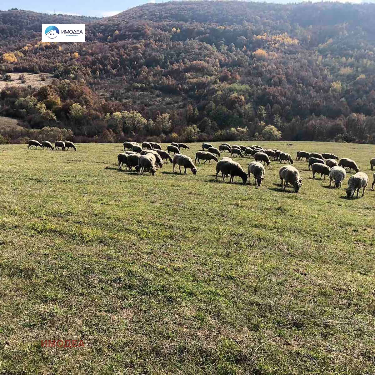 ������� ����� | Imot.bg � ����������� 13