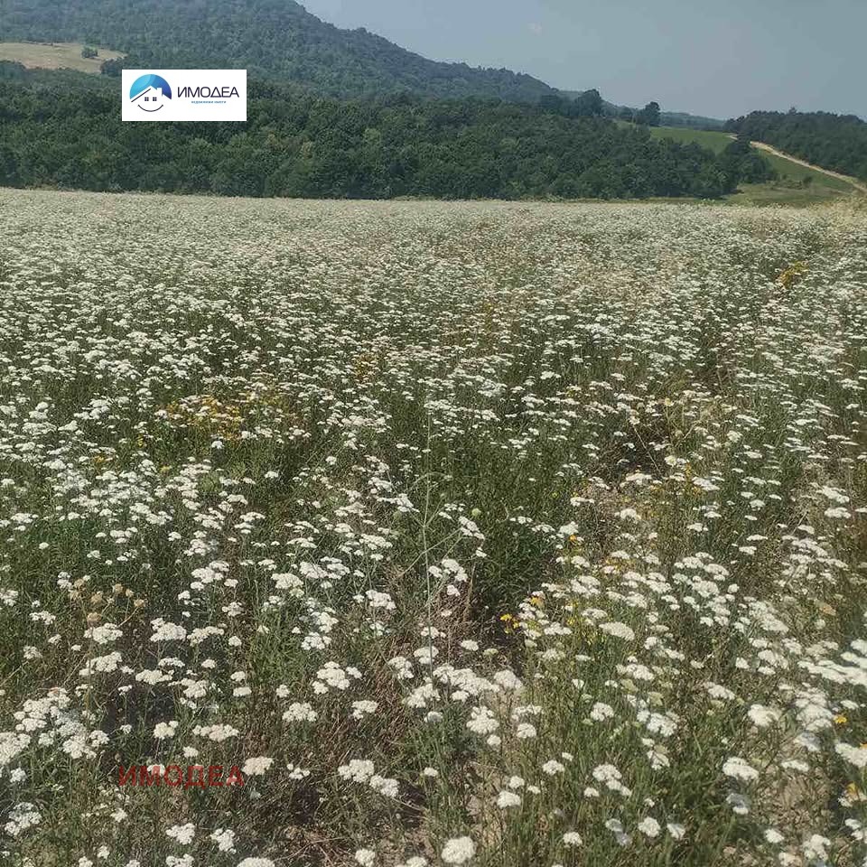 ������� ����� | Imot.bg � ����������� 8