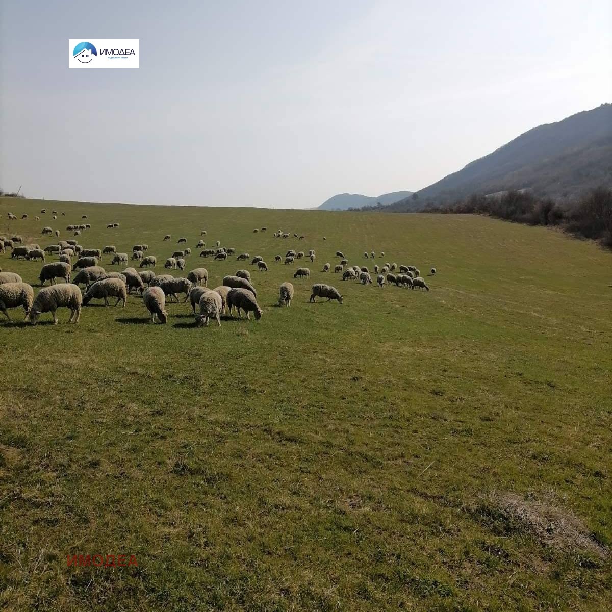 ������� ����� | Imot.bg � ����������� 10