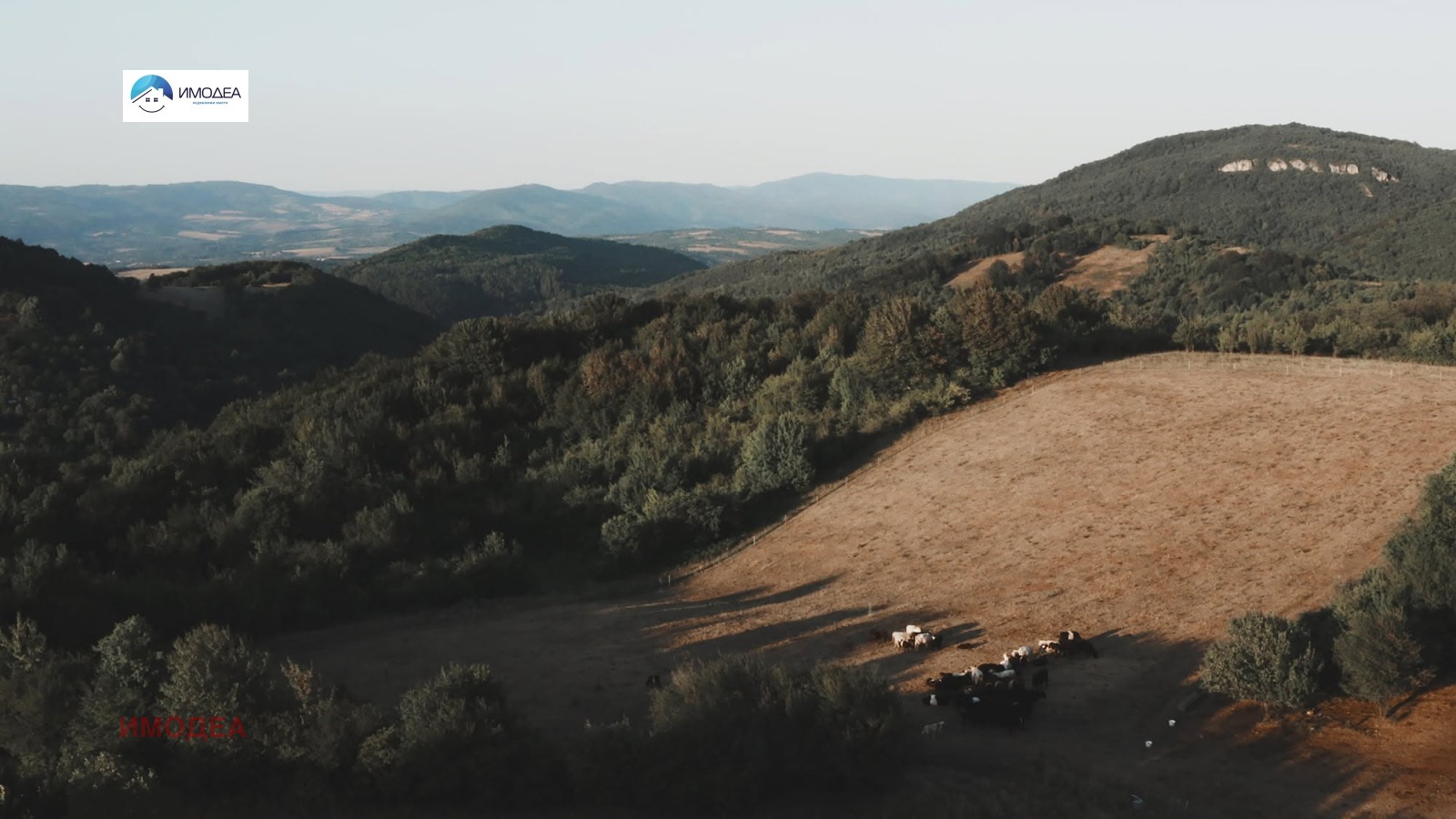 ������� ����� | Imot.bg � ����������� 7