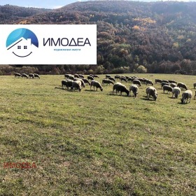 ������� ����� | Imot.bg � ����� ������ 13