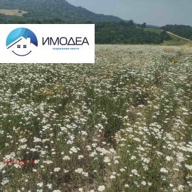������� ����� | Imot.bg � ����� ������ 8