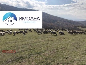 ������� ����� | Imot.bg � ����� ������ 11