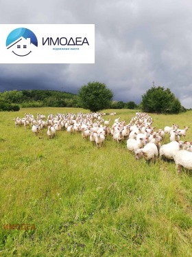 ������� ����� | Imot.bg � ����� ������ 9