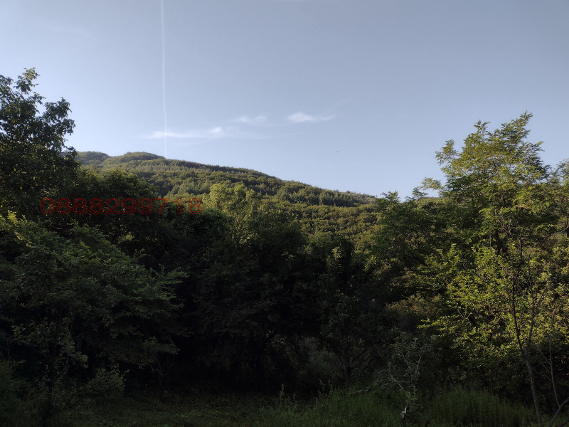 Продава КЪЩА, с. Цървеняно, област Кюстендил, снимка 3 - Къщи - 52777757