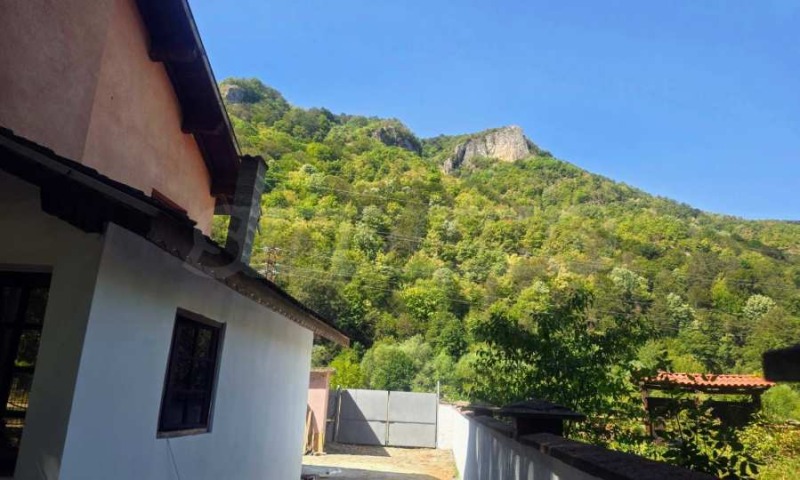 Продава КЪЩА, с. Рибарица, област Ловеч, снимка 10 - Къщи - 52624031