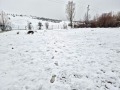 Продава ПАРЦЕЛ, град Перник, Изток • 240000 € • 46968410 — Holmes.bg